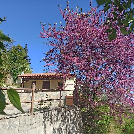 Forestrock Studio For Sale Too Sparta Zewnętrze zdjęcie